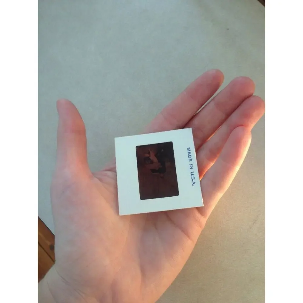Vintage 70s Man Playing w/ Dog Car Automobile Ektachrome Photograph Color Slide